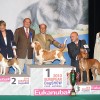 Europos šunų čempionatas, 6 gr. S.Valujevos nuotr.