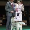 Laura Barytė su Sibiro haskiu