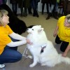 Terapijos seansas -pirmieji prisilietimai prie šuns