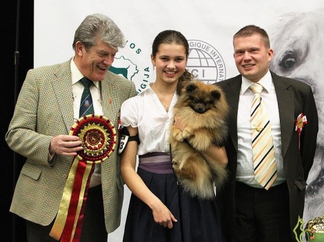 Kalėdų taurė'2010 nugalėtojas - mažasis vokiečių špicas, S.Valujevos nuotr.