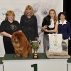 Geriausi 2010 m. Lietuvos sunys