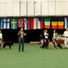 BERNO ZENENHUNDU klubo pasirodymas