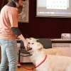 D.Kvedariene su sunimis kurciuju ir neprigird. mokykloje
