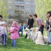 IMG_3101