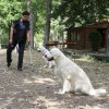 Testa laiko Gutta ir Grotas